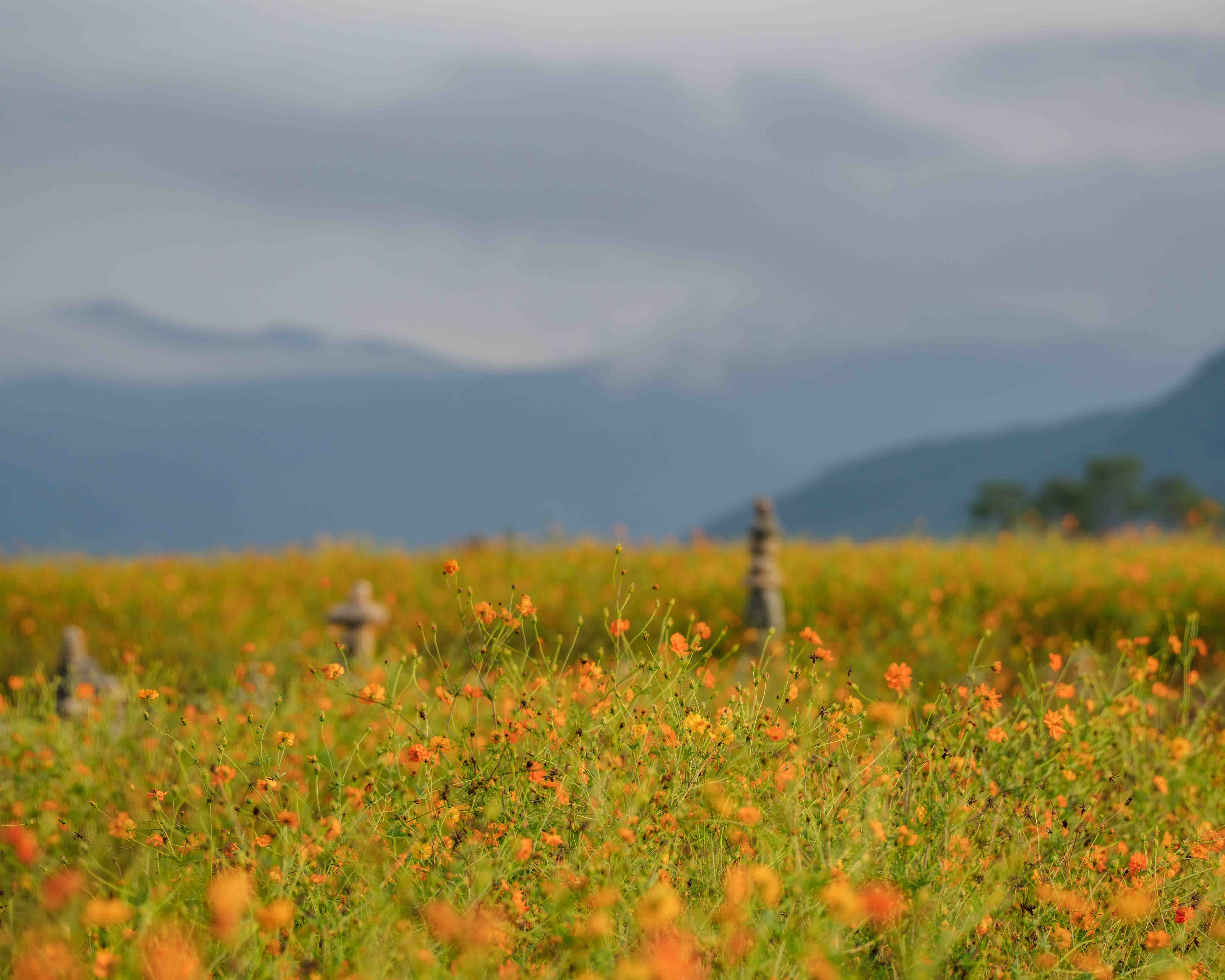 Bunhwangsa Temple — Where Seasons Bloom in Silence